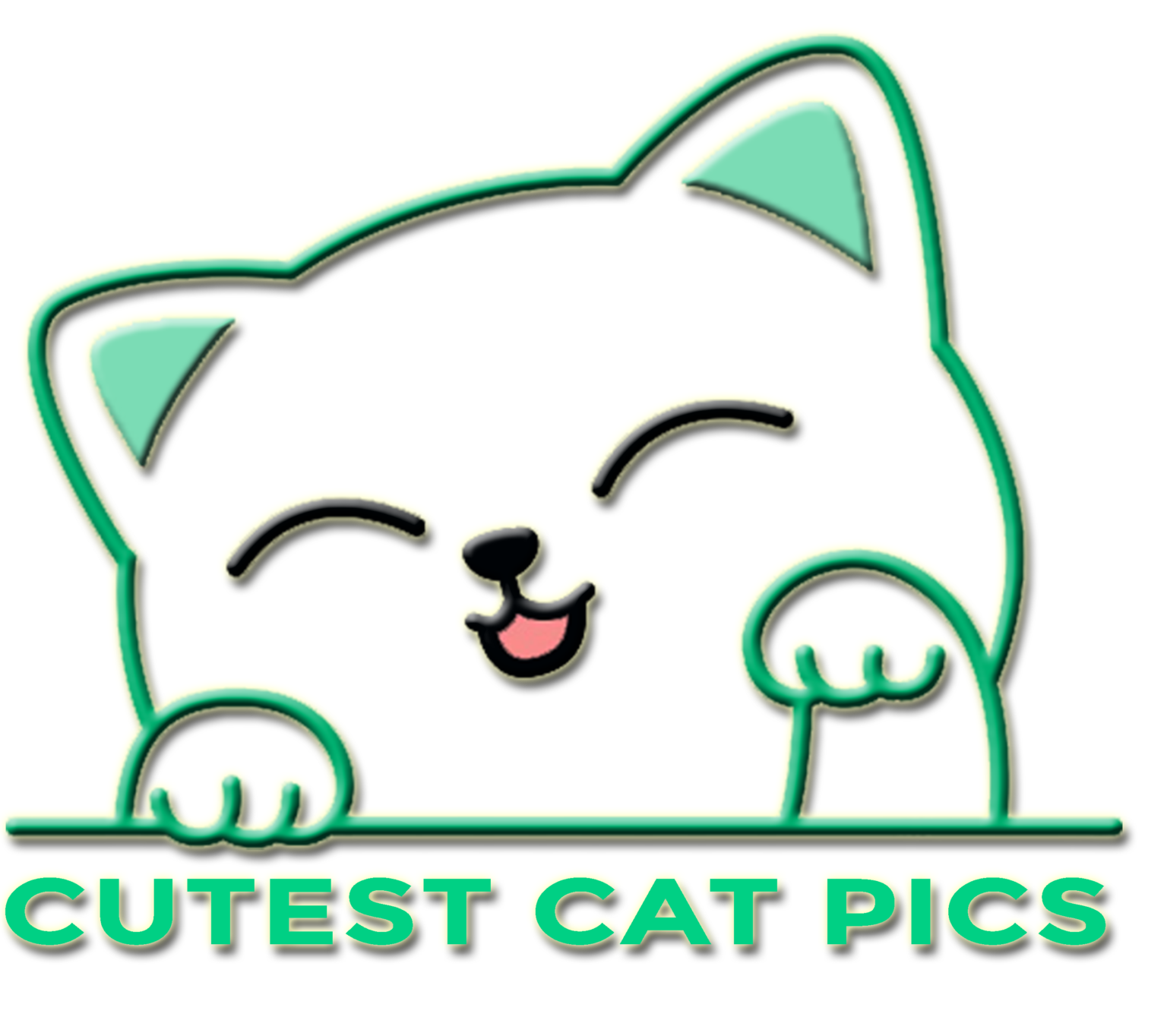 cutest-cat-pics-pet-blog